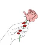 rose loverose flowers paris parisfrance sticker by @essolo74